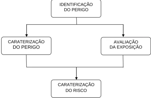 Figura 6 – Componentes do perfil de risco (Codex Alimentarius, 1999). 