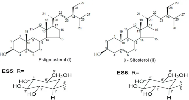 Figura 2 - Substâncias isoladas do extrato bruto de acetato de etila de A. crassiflora