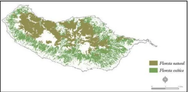 Figura 9 – Localização da Laurissilva. Fonte: http://www.igeo.pt Atlas de Portugal