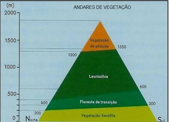 Figura 10 – Esquema de andares fitoclimáticos na ilha da Madeira (R. Quintal 2005) 