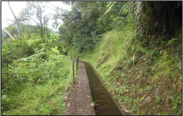 Figura 13 – Levada na floresta Laurissilva, no interior da ilha da Madeira, 2012  