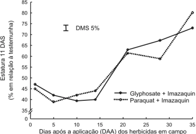 Figura 1 - Toxicidade de imazaquin associado a herbicidas dessecantes (paraquat e glyphosate) sobre nabo forrageiro, sete dias após a sua semeadura (DAS) em amostras de solo com até 35 dias após a aplicação (DAA) dos herbicidas em campo.