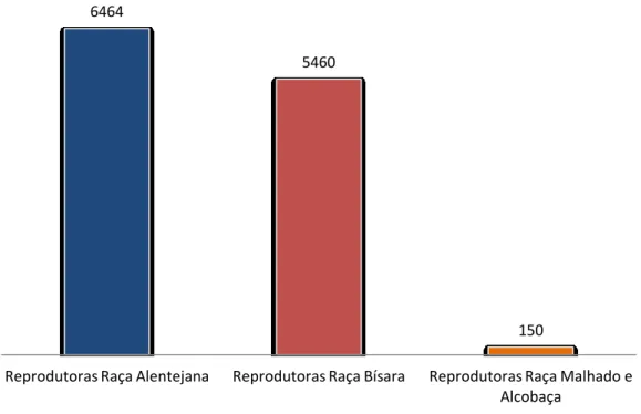 Figura 2 – Efetivo de porcas reprodutoras por raça autóctone (SPREGA, 2017). 