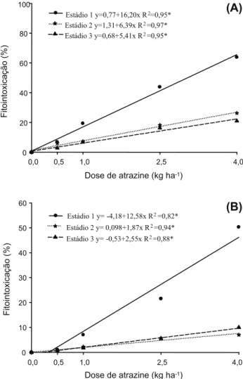 Figura 1 - Fitointoxicação em plantas de milheto aos 7 (A) e 21 (B) dias após a aplicação (DAA) de diferentes doses de atrazine em três estádios da cultura, no momento da aplicação.