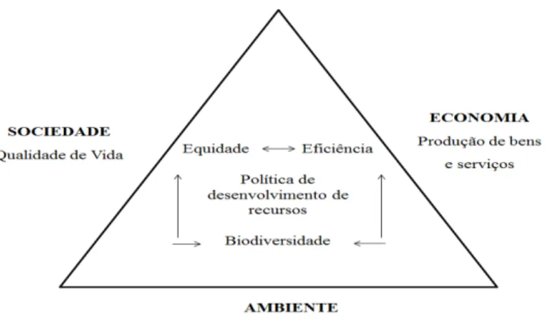 Figura 2: Pilares fundamentais de desenvolvimento Sustentável  Fonte: Partidário (1999)