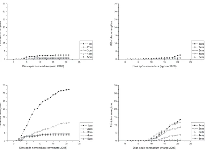 Figura 2 - Marcha cumulativa do percentual de emergência de plântulas de Bidens pilosa provenientes de aquênios locados em diferentes profundidades no substrato.