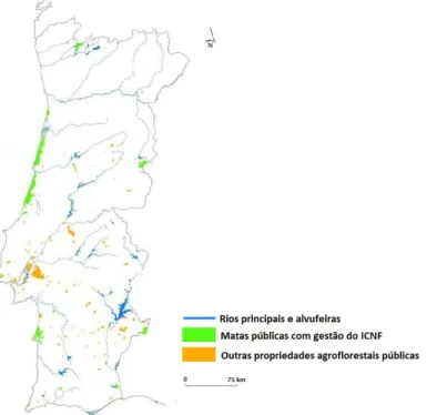 Figura 4. Parcela pública das florestas em Portugal Continental. Extraído de ENF (2015:692-(26))