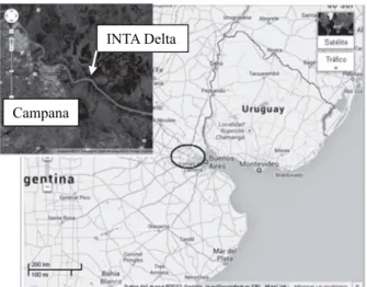 Figura 1 – Mapa de ubicación de la zona de ensayo (INTA Delta, Argentina).
