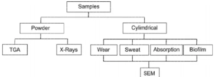Figure 1 – Flow chart of the experimental procedures.