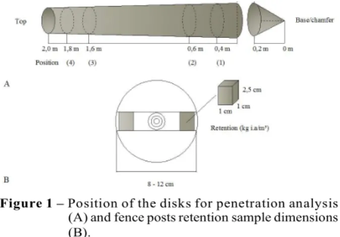 Figure 1 – Position of the disks for penetration analysis (A) and fence posts retention sample dimensions Figura 1 – Posições dos discos para a análise de penetração(B).