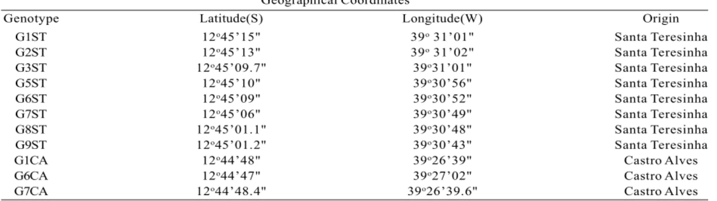Tabela 1 – Dados de localização de onze genótipos de P. pyramidalis georeferenciados e identificados em municípios da região semiárida da Caatinga do Estado da Bahia, Brasil.