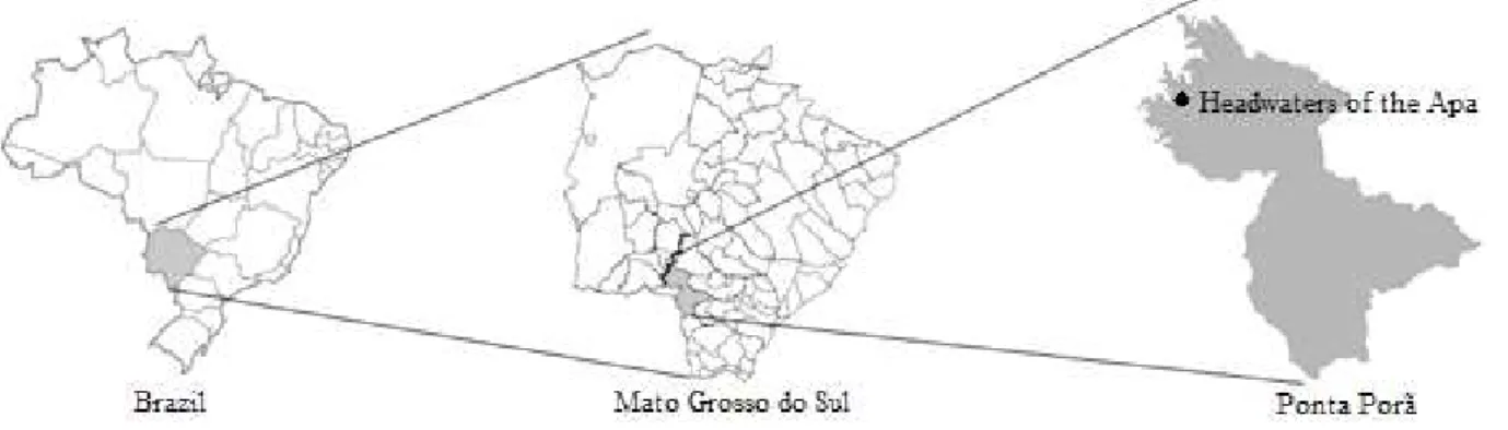 Figura 1 – Localização das nascentes do rio Apa, no Município de Ponta Porã, Mato Grosso do Sul, Brasil.