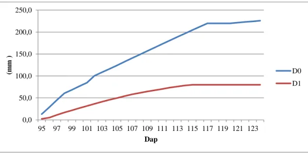 Figura  17  –  Consumo  de  água  cumulativo  para  o  período  entre  95  e  124  DAP,  entre  os  tratamentos Do e D1, no campo experimental de Maravilhas