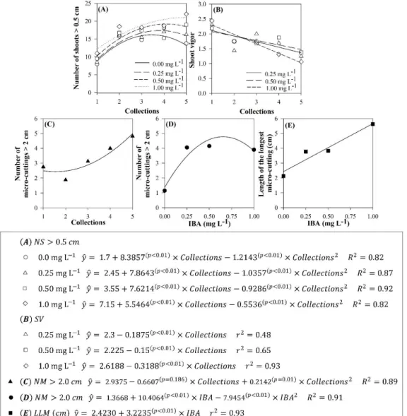 Figure 3 - Characteristics observed in in vitro cultivation of  Eucalyptus urophylla x E