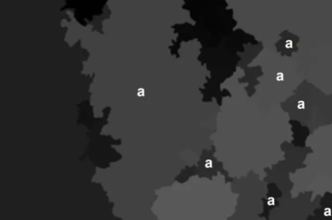 Figura 2 –  Exemplo de regiões rotuladas (imagem mapa), separando céu (marcada com a letra a) e dossel (áreas restantes).