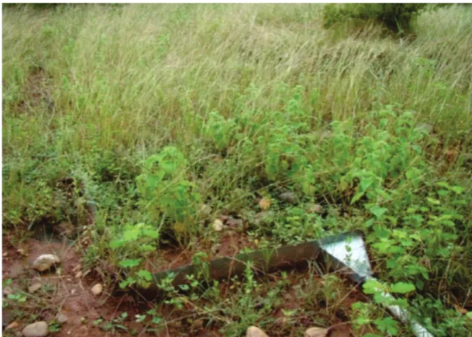 Table 1 - Monthly rainfall, runoff depth, soil loss and erosivity measured in the field