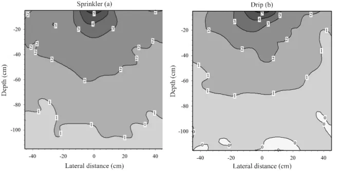 Figure 2 - Root concentration (5 for maximum concentration; 0 for no roots) at the end of the development cycle of tomato plants irrigated by sprinkler (a) and by drip (b), assessed in the soil profile perpendicular to the row of plants