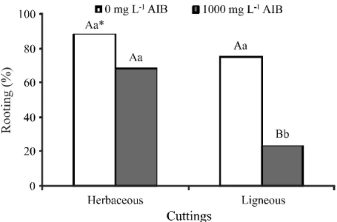Figure 1 - Percentage of rooting of fig tree cuttings as a function of the interaction of the cutting type and auxin concentration.