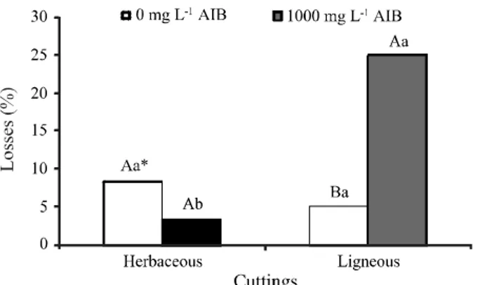 Figure 4 - Effect of auxin and cutting type on the root length in fig-tree cuttings