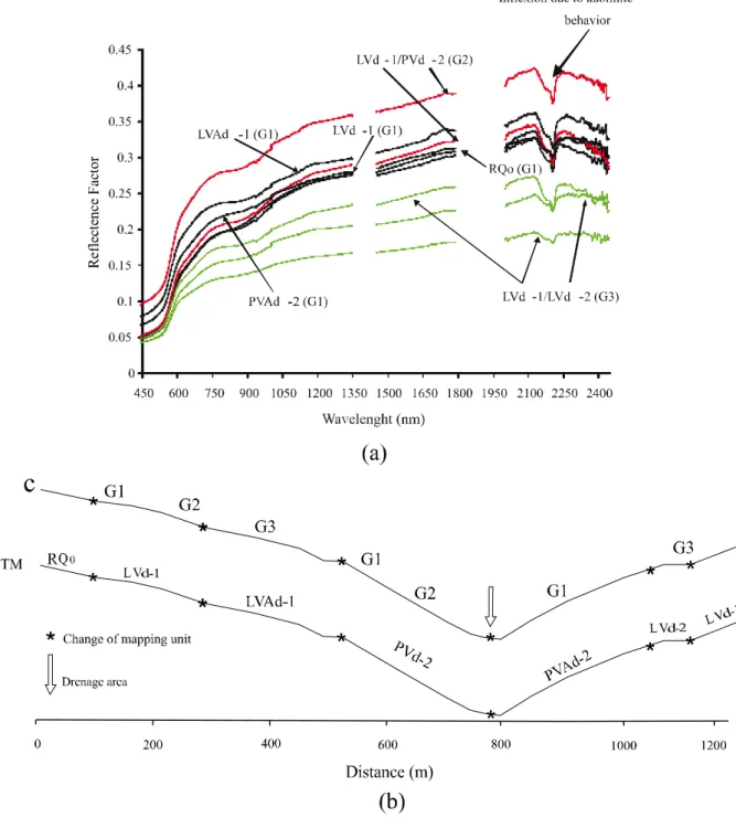 Figure  3  - Spectral curves of the surface horizon of  soil classes at each collection point on transect 1 and discrimination of the groups generated by cluster analysis at field level (a) and position of the groups on the transect (b), where: C = Field s