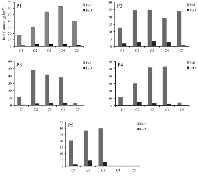 Figure 4 - Average values for iron in the sodium dithionite-citrate-bicarbonate (Fe d ) and iron in the ammonium oxalate (Fe o ) for classes C1, C2, C3, C4 and C5 of profiles P1, P2, P3, P4 and P5