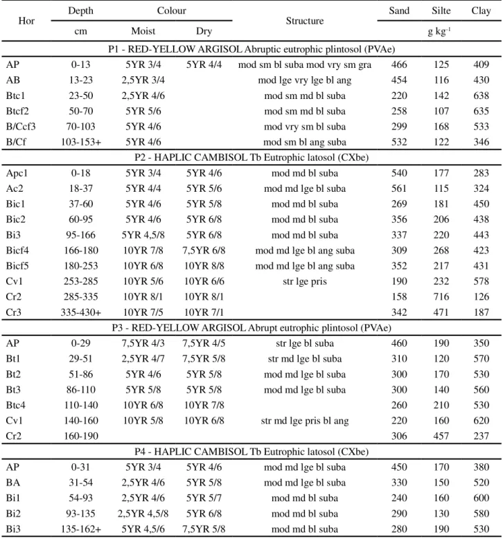 Table 1 - Morphological and physical characteristics of profiles P1, P2, P3, P4 and P5