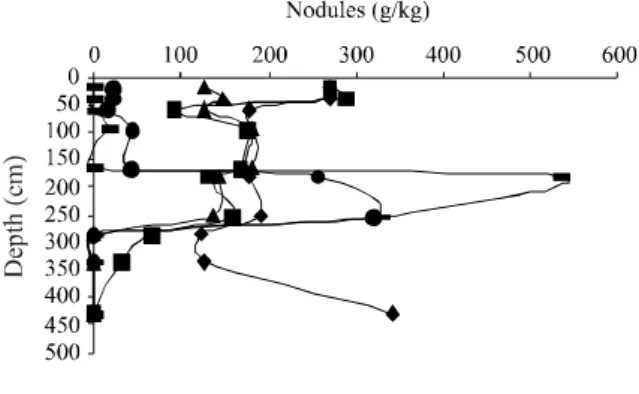 Figure 2 - Representation of the distribution of nodules divided by size class (C1, C2, C3, C4, and C5) in profiles P1, P2, P3, P4 and P5