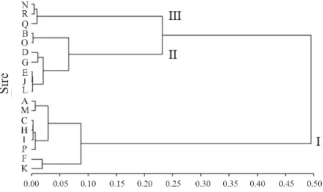 Figura  7  - Progeny sire dendrogram grouped according to carcass quality traits