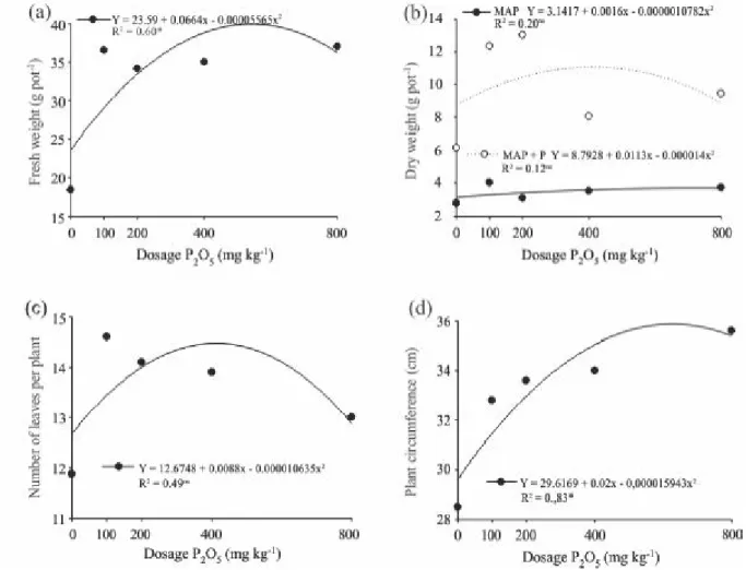 Figure 4 - Effect of the application of MAP and MAP + polymers (MAP + P) at different dosages of P 2 O 5  on the fresh weight (a) dry weight (b), number of leaves (c) and plant circumference (d) in the second crop of lettuce *5% level of significance (P&lt