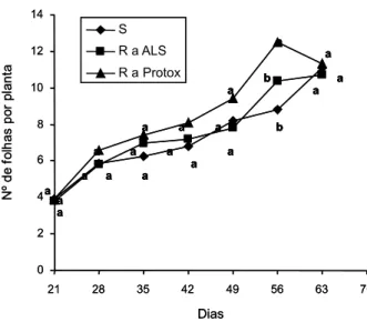 Figura 2 - Número de folhas por planta dos biótipos resistentes a inibidores da ALS (R a ALS), a inibidores da Protox (R a Protox) e suscetível (S) de EPHHL, determinado em sete períodos distintos.