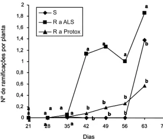 Figura 7 - Matéria seca total (g) de planta dos biótipos resistentes a inibidores da ALS (R a ALS), a inibidores da Protox (R a Protox) e suscetível (S) de EPHHL, determinado em sete períodos distintos.