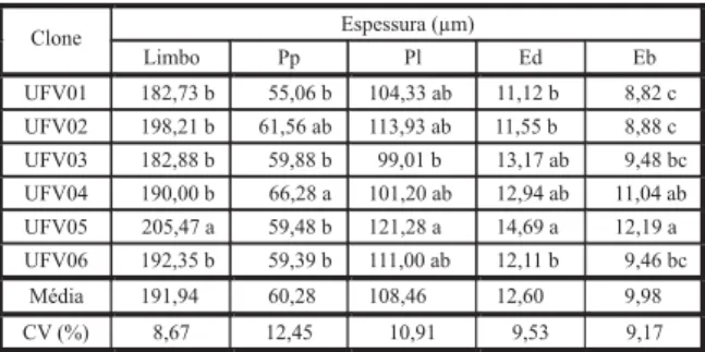 Tabela 4 - Espessura do limbo e dos tecidos foliares de clones de E. grandis submetidos à deriva de glyphosate em função das formulações testadas