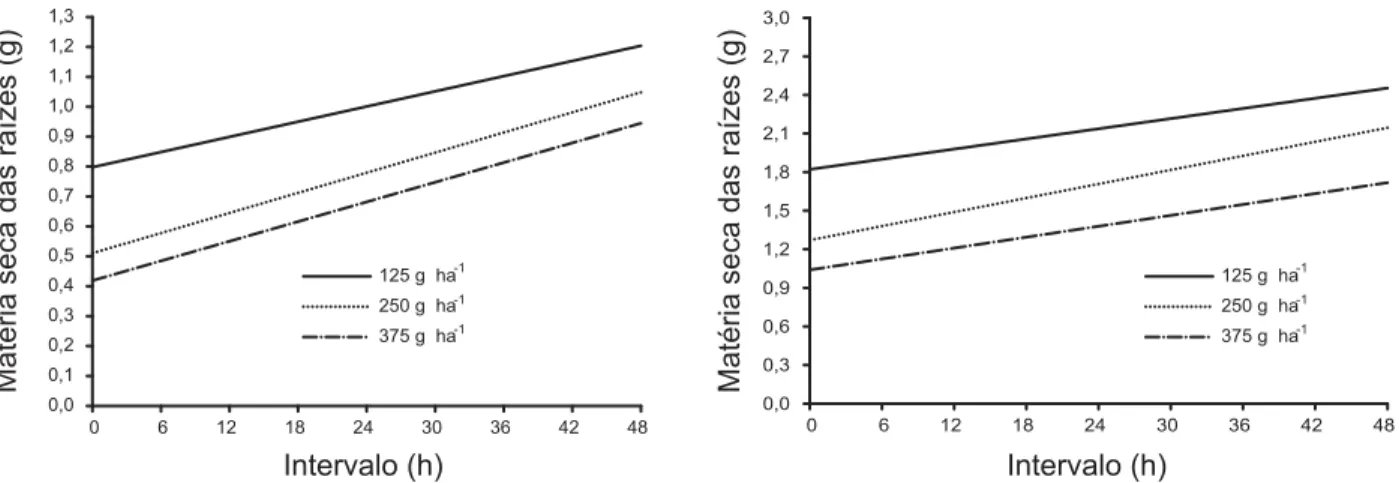Tabela 7 - Equações das curvas de regressão relacionando massa seca das raízes (MSR) e da parte aérea (MSPA) de Amaranthus hybridus aos 43 dias após aplicação de diferentes doses de fomesafen, em função do intervalo entre a última irrigação e a pulverizaçã