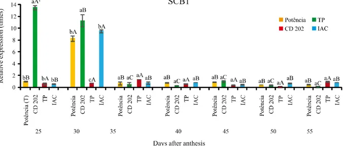 Figure 2 - Relative expression of the SCB1 gene in soybean seed coats collected after anthesis at seven stages of development, in four genotypes contrasting for seed coat characteristics