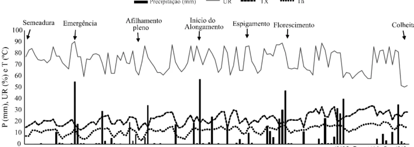 Figura 1 - Precipitação pluviométrica (P), umidade relativa do ar (UR), temperaturas máxima (TX) e mínima (Tn) do ar durante o ciclo do trigo BRS Guamirim no período experimental (08/07 a 10/11/2014 = 126 dias)