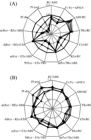 Figure  2 - Quantitative parameters of the photosynthetic machinery, derived by JIP test from the OJIP polyphasic fluorescence in detached pea leaves treated with different concentrations of DCMU (A) and atrazine (B)