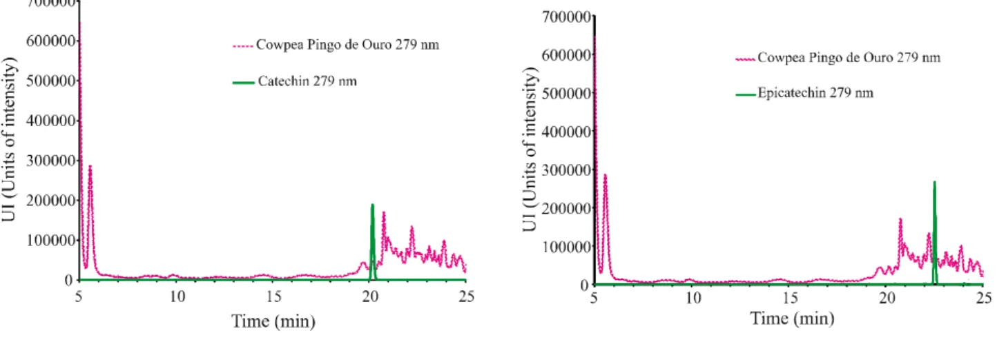 Figure 1 - Chromatogram of the Pingo de Ouro 1-2 strain (sample 1) at 279 nm