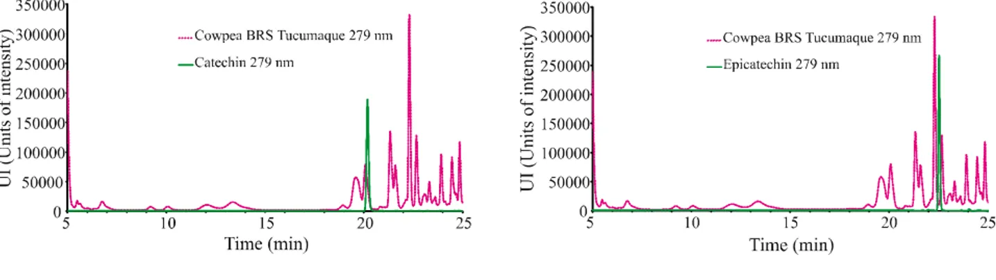 Figure 4 - Chromatogram of the cowpea cultivar BRS Tumucumaque (sample 2) at 279 nm