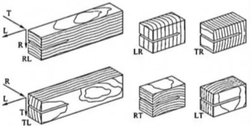 Figura 1.14- Planos de simetria da madeira (Caldeira 2011). 