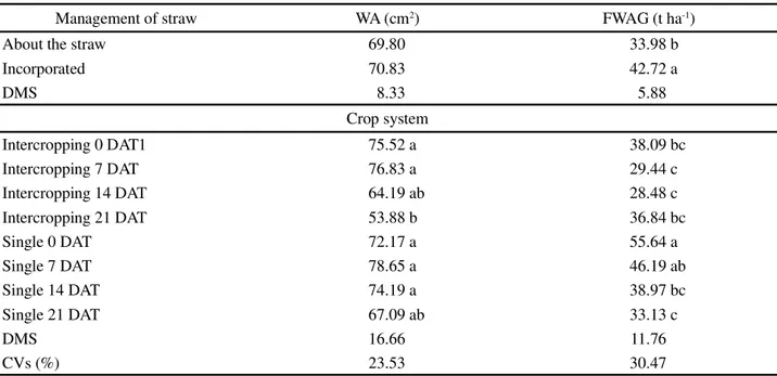 Table 5 - Leaf area (LA) and fresh mass of above-ground part (FWAG) of chicory submitted to two managements of straw in monocrop and intercropping with beet, as a function of the transplant period