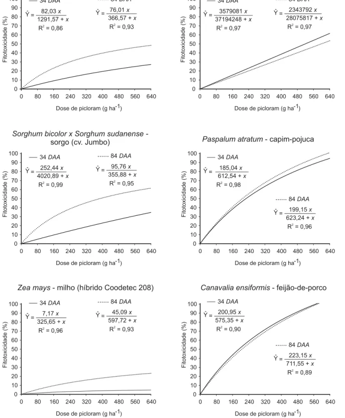 Figura 3 - Fitotoxicidade em plantas cultivadas em solo contaminado com diferentes níveis do herbicida picloram