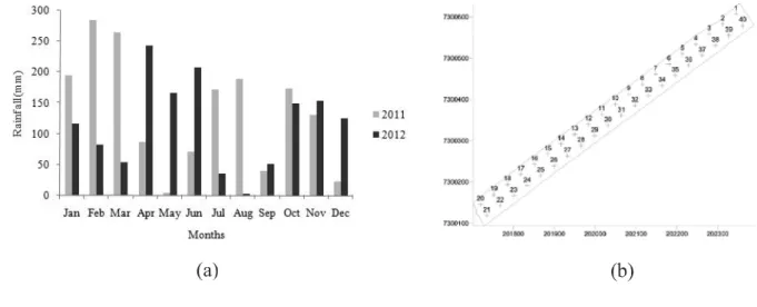Figure 2 - Monthly precipitation chart of 2011 and 2012 in Nova Santa Rosa/PR region, in mm (a), and spatial distribution of the sampling points (b)