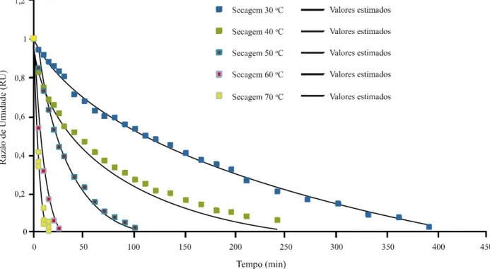 Figura 3 - Dados observados e estimados pelo modelo de Midili para descrever a curva de secagem do hortelã pimenta para diferentes temperaturas e para a velocidade de 0,5 m.s -1