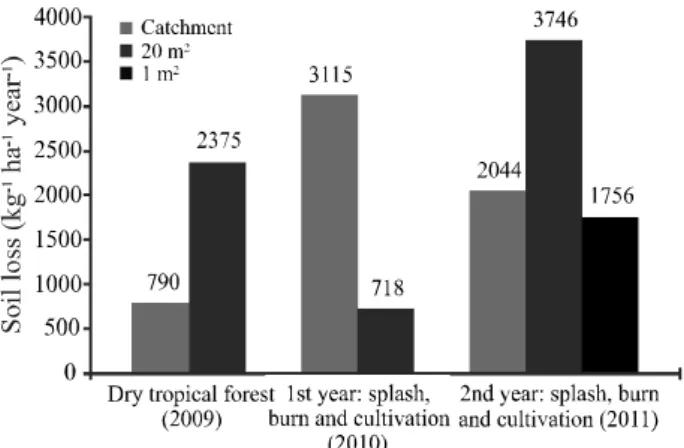 Figure 5 - Runoff versus specific soil loss at the different spatial scales,  for  the  slash  and  burn  and Andropogon gayanus Kunt cultivation in the second year after land use change