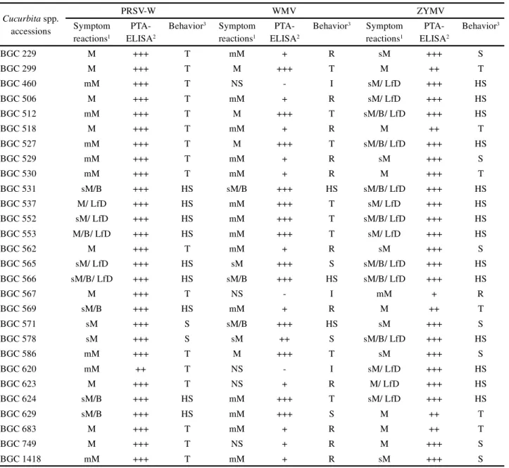 Table 1 - Symptom reactions, absorption readings in plate-trapped antigen enzyme linked immunosorbent assay (PTA-ELISA) and behavior of Cucurbita spp