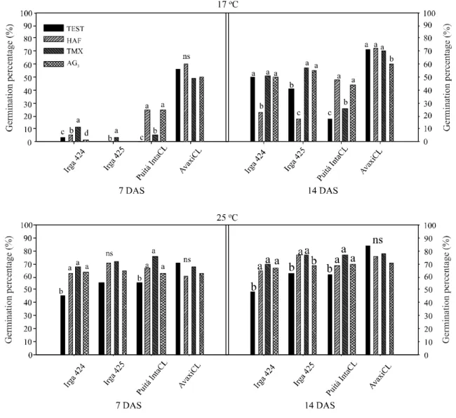 Figure 3 - Germination percentage in artificially aged seeds, recorded at 7 and 14 days after sowing (DAS) in seeds of the IRGA 424, IRGA 425, Puitá INTA CL and Avaxi CL cultivars of Oryza sativa, treated with Haf Plus® (HAF), thiamethoxam (TMX) ), Gibbere