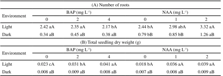 Table 3 - Number of roots and total seedling dry weight, in Cattleya labiata in different growth environments (presence and absence of light and different levels of BAP and NAA), at 150 days of in vitro growth