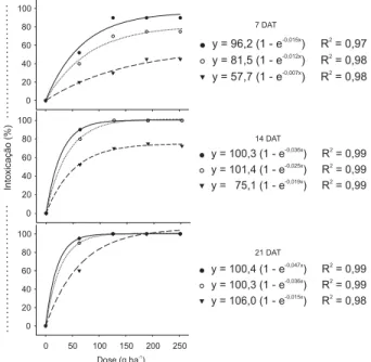 Figura 1 - Intoxicação do herbicida glyphosate sobre plantas de beterraba, cv. Maravilha, em aplicações realizadas aos 20 (•), 30 (  ) e 40 (   ) dias após a emergência