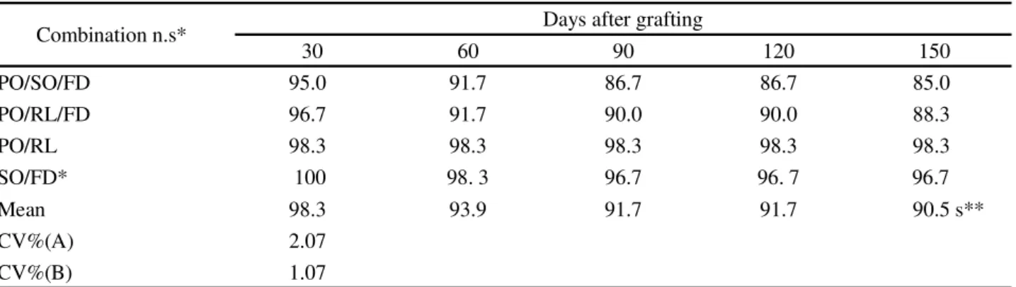 Table  2 - Mean values for percentage graft success in shoots of the ‘Pera’ (PO) or ‘Seleta’ (SO) orange, grafted onto different combinations of rootstocks and interstocks