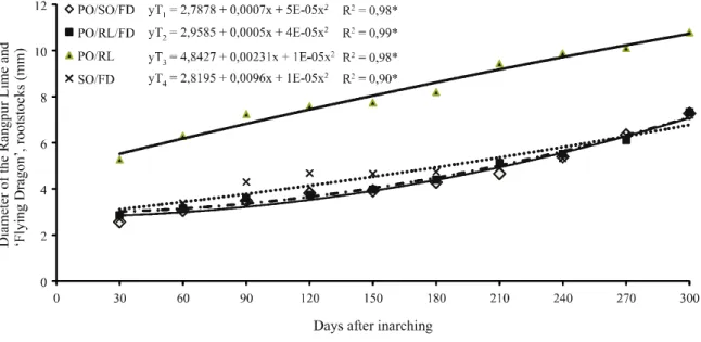 Figure 3 - Stem diameter of the Rangpur Lime (LR) and trifoliate ‘Flying Dragon’ (FD) rootstocks, and the Rangpur Lime and